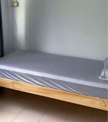 Blk 161 Bishan Street 13 (Bishan), HDB 5 Rooms #551210791